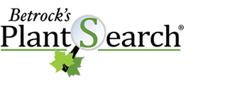 Betrock's PlantSearch Logo